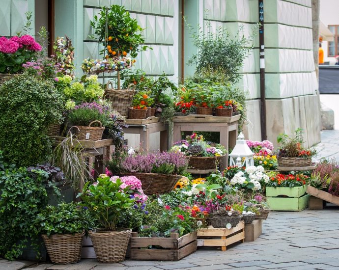Jak wybrać dobry ogrodniczy sklep internetowy?