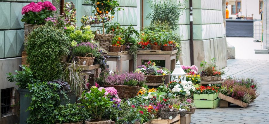 Jak wybrać dobry ogrodniczy sklep internetowy?